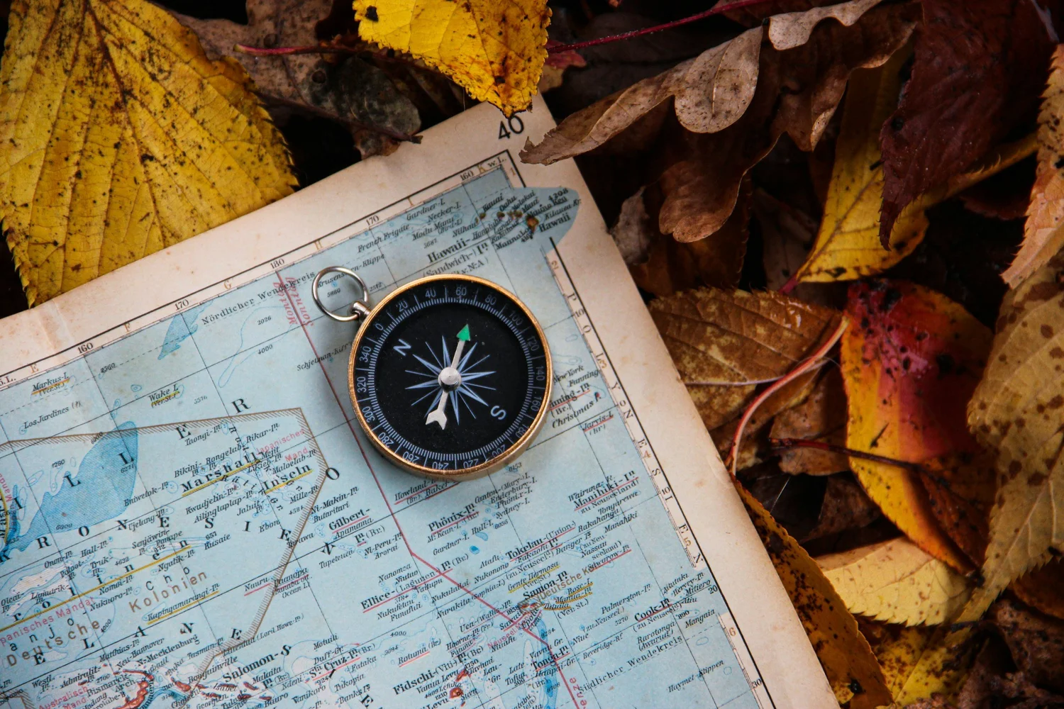 A compass on a map surrounded by fallen autumn leaves.